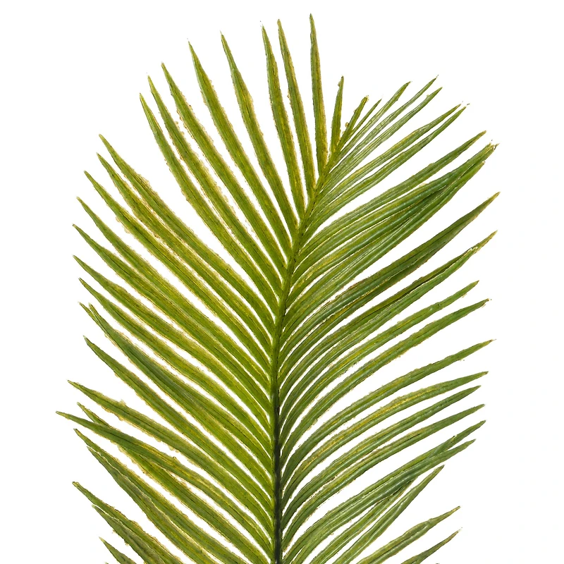 Green Sago Palm Stem by Ashland®