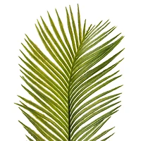 Green Sago Palm Stem by Ashland®