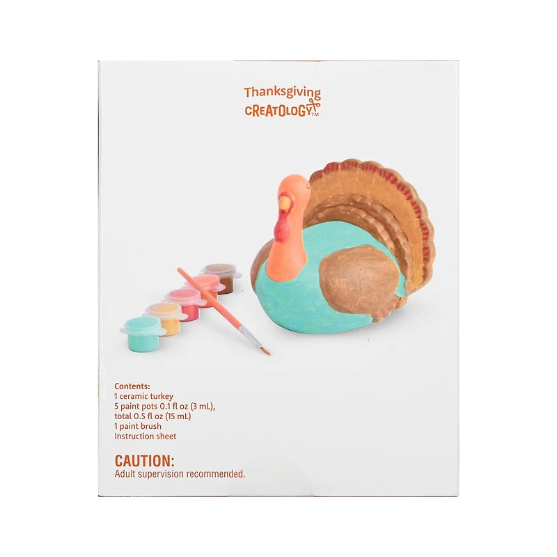 3D Ceramic Turkey Craft Kit by Creatology™