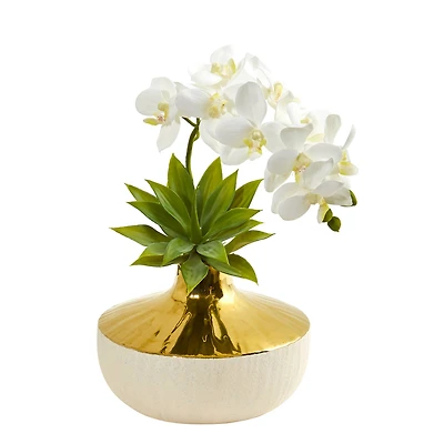 12" Moth Orchid & Agave Arrangement in Decorative Vase