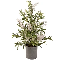 2ft. Unlit Potted White Berry & Frosted Pine Christmas Tree