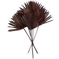 Dark Brown Sun Palm Spear Leaf Foliage Bundle