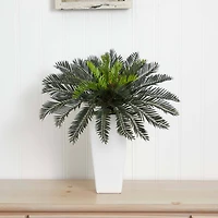 23" Potted Cycas in Decorative White Planter