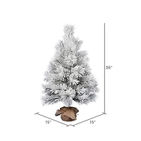 3ft. Unlit Frosted Beckett Pine Artificial Christmas Tree in Burlap Base