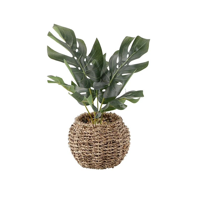 Flora Bunda® 6" Split Leaf In Basket