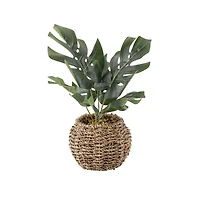 Flora Bunda® 6" Split Leaf In Basket