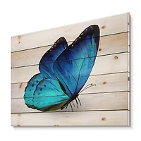 Designart - Vibrant Blue Butterfly