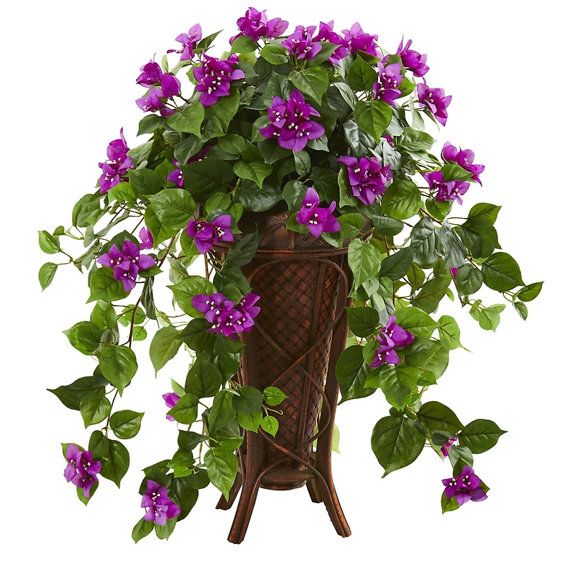 2.5ft. Bougainvillea Plant in Stand Planter