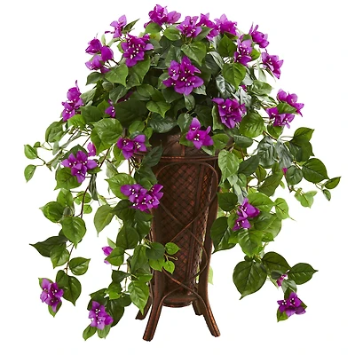 2.5ft. Bougainvillea Plant in Stand Planter