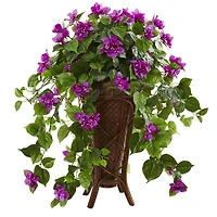 2.5ft. Bougainvillea Plant in Stand Planter