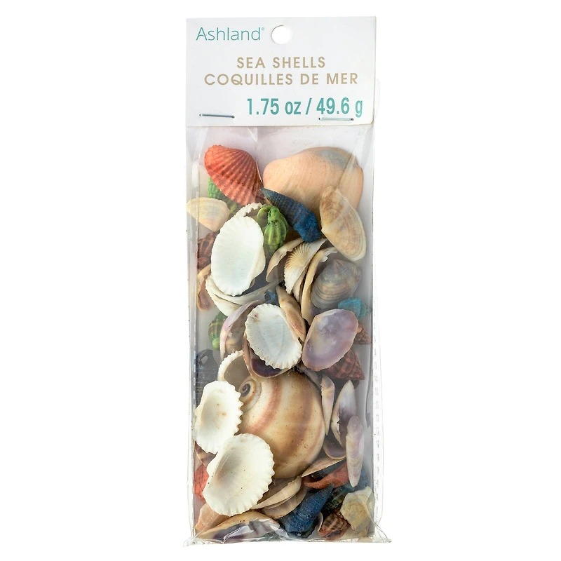 Dyed & Natural Mixed Sea Shells by Ashland®