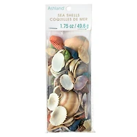 Dyed & Natural Mixed Sea Shells by Ashland®