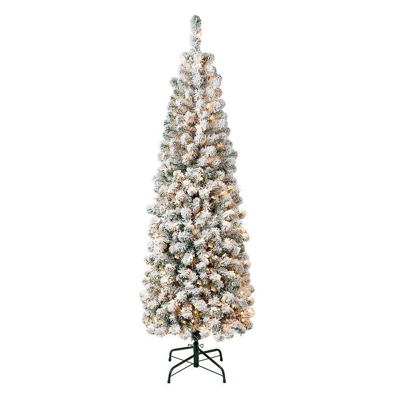 6ft. Pre-Lit Flocked Acacia Pencil Artificial Christmas Tree, Clear Lights