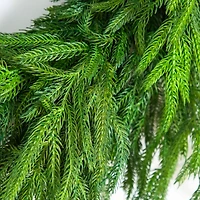 24in. Artificial Real Touch Norfolk Island Pine Wreath with Natural Look