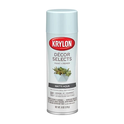 Krylon® Décor Selects Matte Paint & Primer