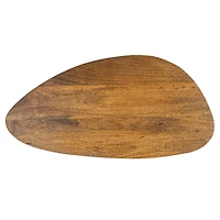 Hello Honey® Mid-Century Modern Wood & Metal Organic Shaped Nesting Table Set