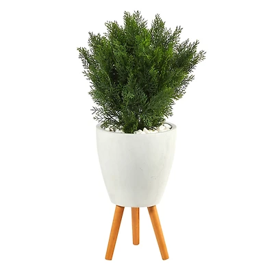 3ft. Cedar Tree in White Planter with Stand