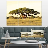 Designart - Acacia Tree on African Plain