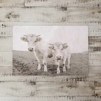 18" x 27" Whitewashed Cow Photograph Floor Mat