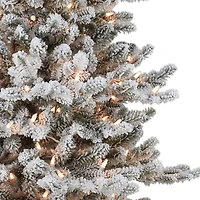 4.5ft. Pre-Lit Flocked Royal Majestic Douglas Fir Artificial Christmas Tree, Clear Lights