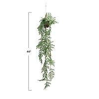 Hello Honey® 44" Verdant Green Hanging Kokedama