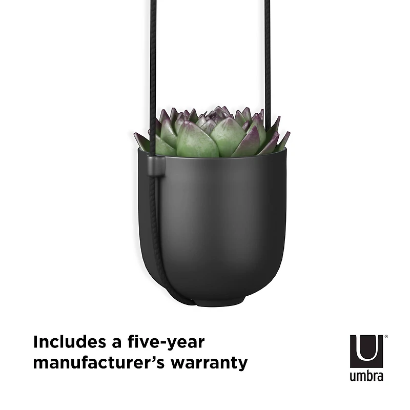 Umbra Black Bolo Hanging Planter
