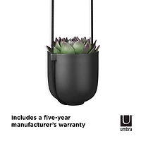 Umbra Black Bolo Hanging Planter