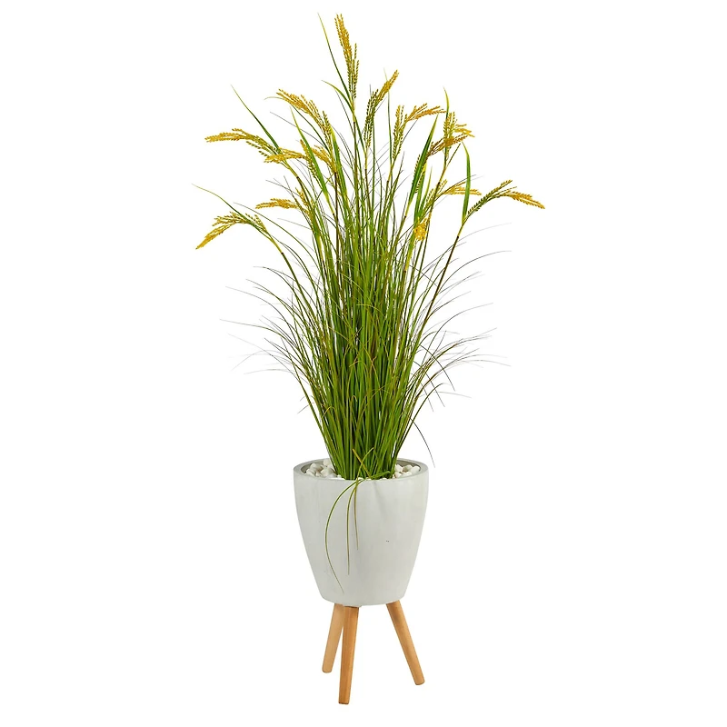 5ft. Wheat Grain Plant in Decorative White Planter