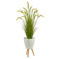 5ft. Wheat Grain Plant in Decorative White Planter