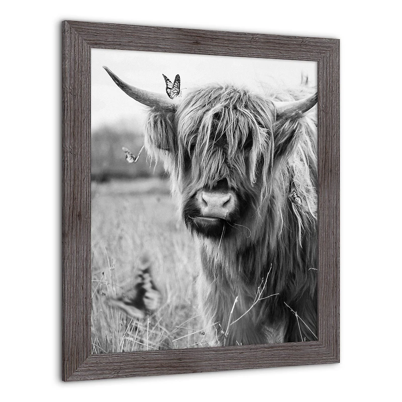 Black and White Highland Cow 20" x 24" Western Gray Framed Print