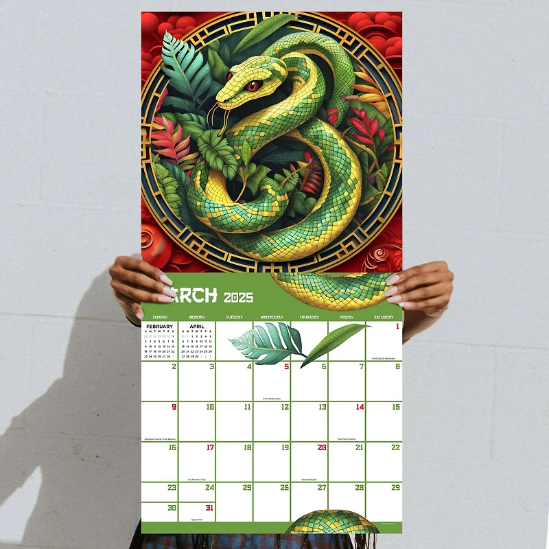 TF Publishing 2025 Year of the Snake Wall Calendar