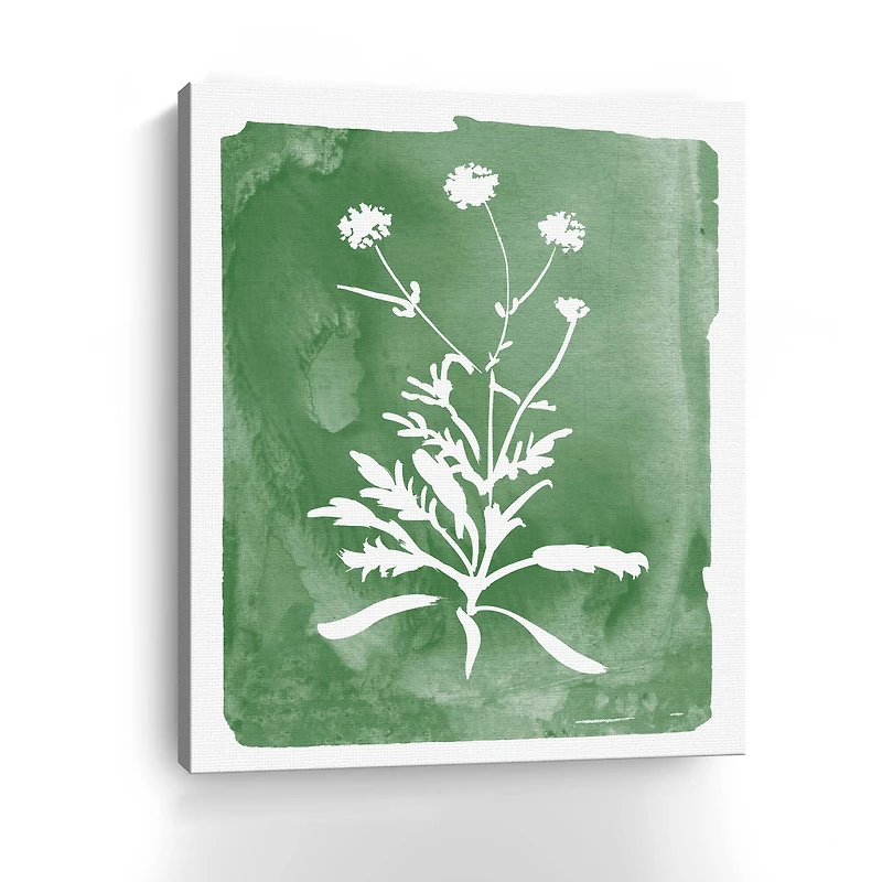 Green Botanical I Canvas Giclee