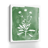 Green Botanical I Canvas Giclee