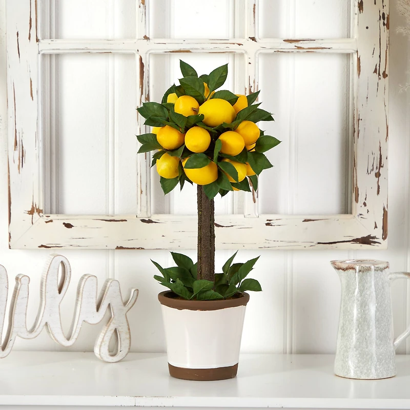 18" Potted Lemon Ball Topiary Arrangement 