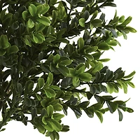 15" Sweet Grass Bush, 6ct.