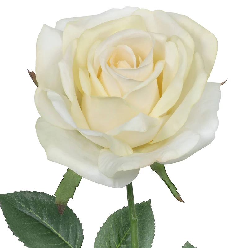 24" Rose Real Touch Stem by Ashland