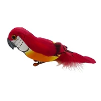 Assorted Feather Parrot by Ashland®
