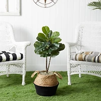 3ft. Artificial Fiddle Leaf Fig Tree With Handmade Cotton & Jute Woven Basket DIY Kit