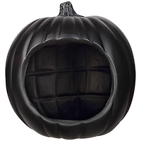 9" Black Diorama Pumpkin by Ashland®