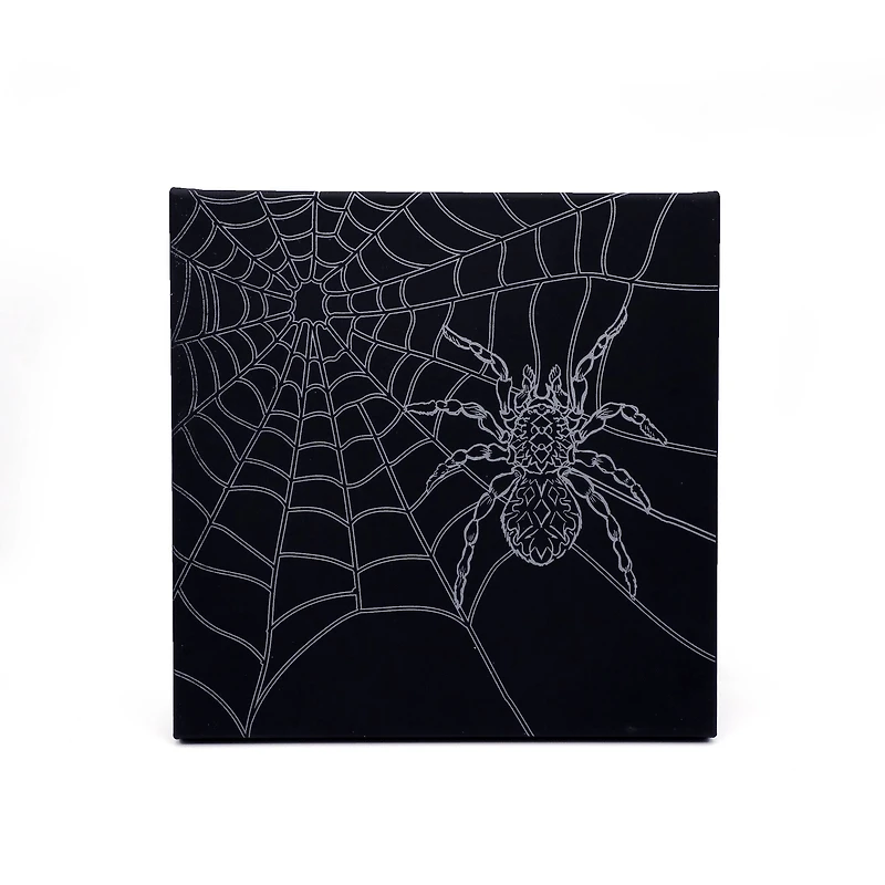 11" x 11" Spider Web Canvas Painting Kit by Craft Smart®