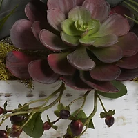 21" Beauty Orchid & Succulent Garden with Whitewashed Planter