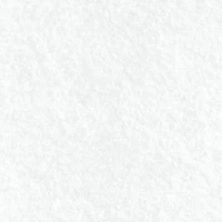 Eugene Textiles Felt