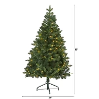 5ft. Pre-Lit Grand Teton Spruce Flat Back Artificial Christmas Tree, Clear LED Lights