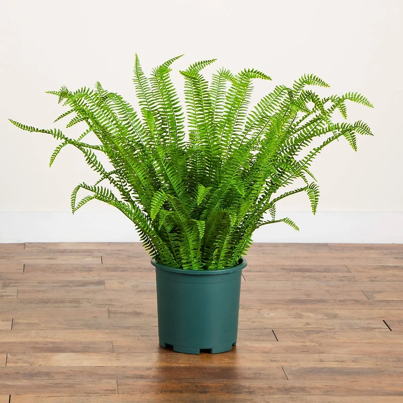 3ft. UV Resistant Artificial Boston Fern Plant with Real Touch Leaves (Indoor/Outdoor)