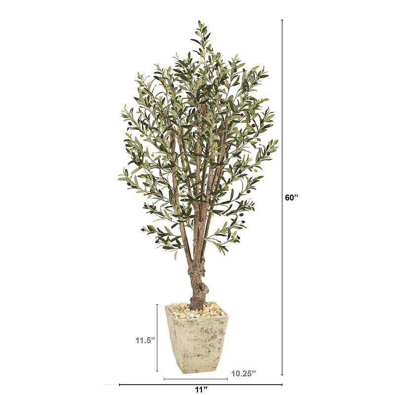 5ft. Olive Tree in Country White Planter