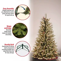 4.5 ft. Pre-Lit Dunhill® Fir Artificial Christmas Tree, Clear Lights