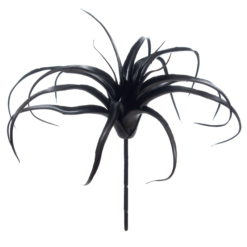 10" Black Tillandsia Pick by Ashland®