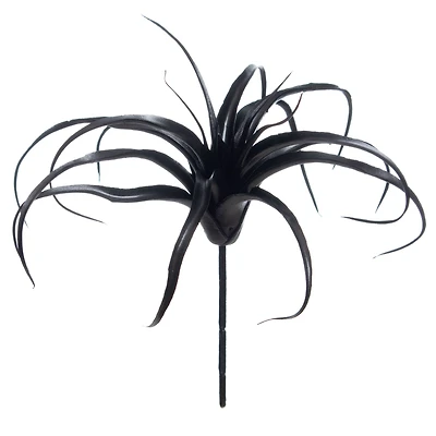 10" Black Tillandsia Pick by Ashland®