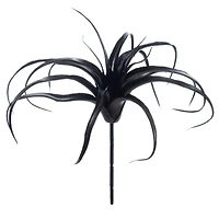 10" Black Tillandsia Pick by Ashland®