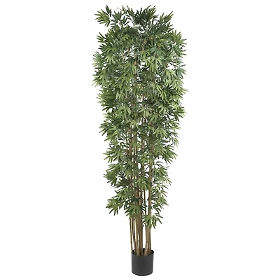 7ft. Potted Bamboo Japonica Silk Tree